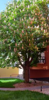 Piacsek Apartmanház12