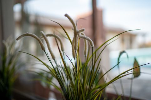 DorEsz Wellness Panzió25