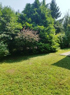 Villa Marcello Vendégház