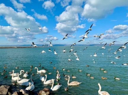 Vörösbegy Vendégház115