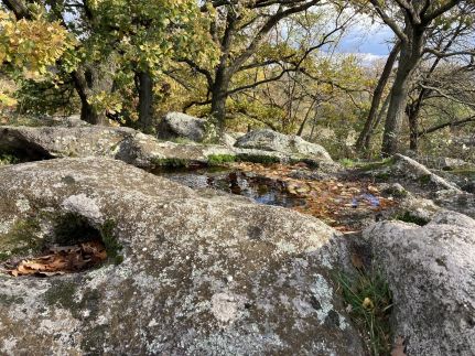 Vörösbegy Vendégház59