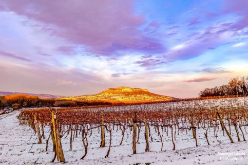 Vörösbegy Vendégház60