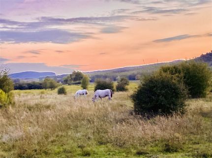 Vörösbegy Vendégház61