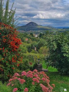 Vörösbegy Vendégház62