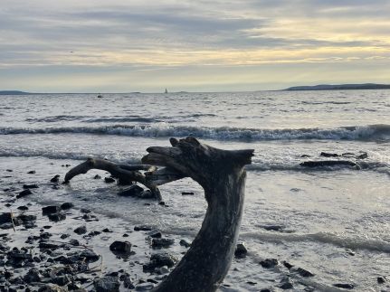 Vörösbegy Vendégház67