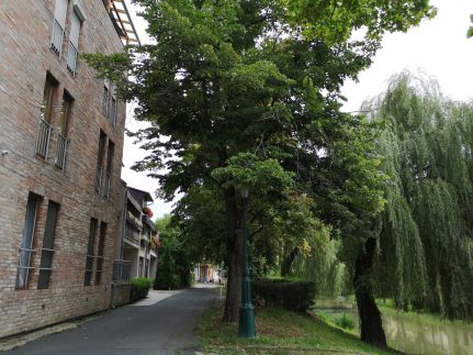 Belvárosi Terasz Apartman