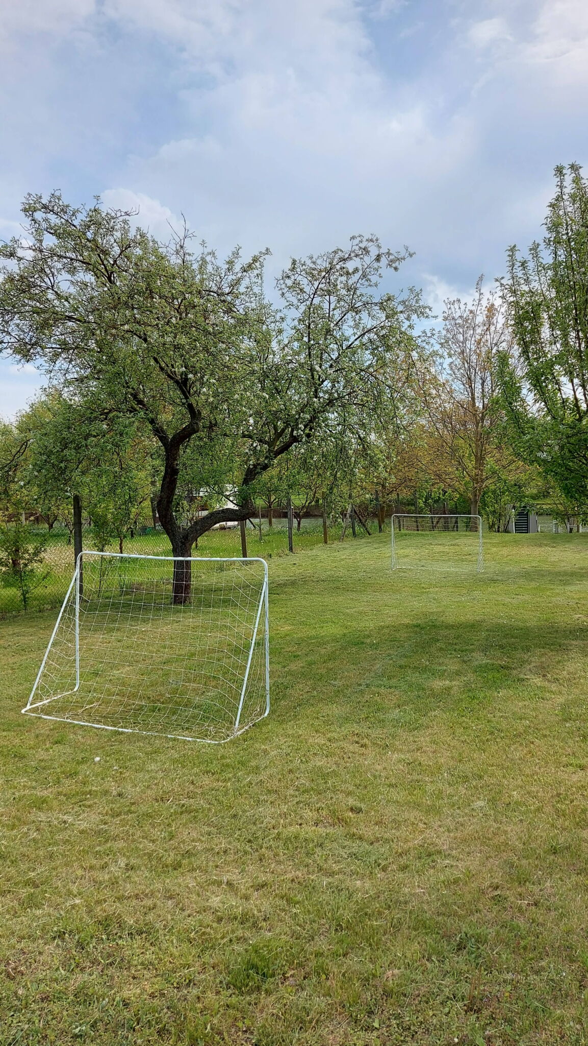 Torzsás Vendégház – Gyomaendrőd fotó 13