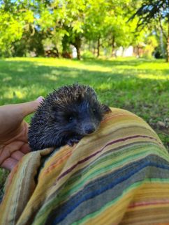 Kakasvári Vendégház15