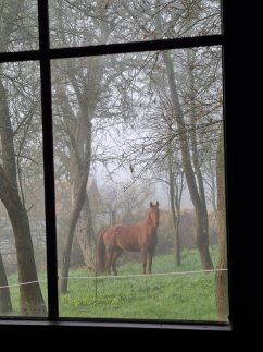Kakasvári Vendégház21