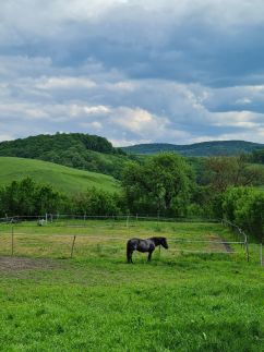 Kakasvári Vendégház22