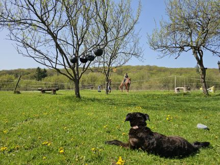 Kakasvári Vendégház62