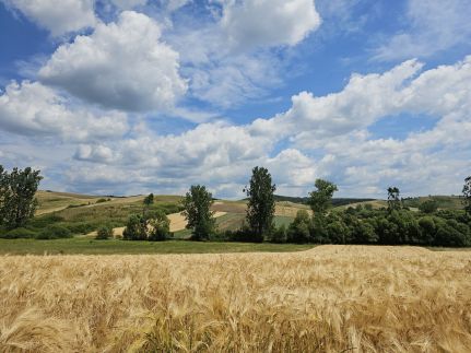 Kakasvári Vendégház63