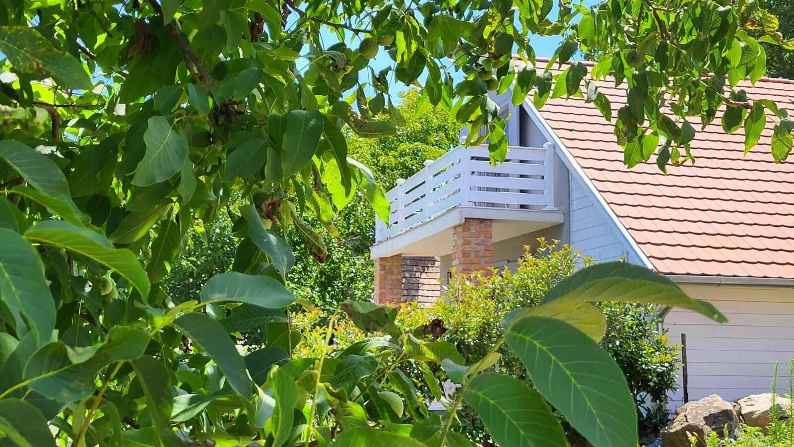 Sol Aquilonis Vendégház – Zalahaláp fotó 43