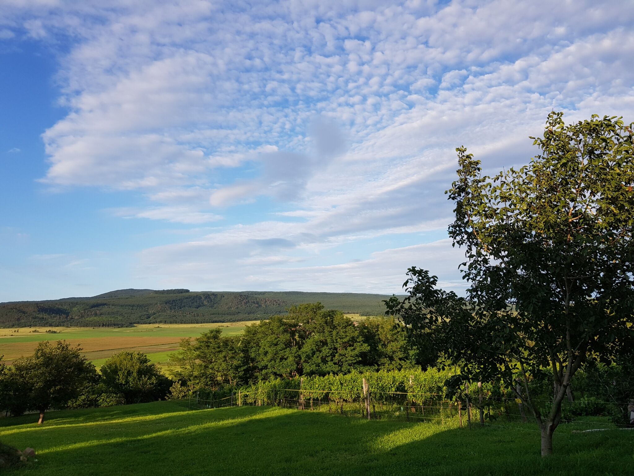 Sol Aquilonis Vendégház – Zalahaláp fotó 22