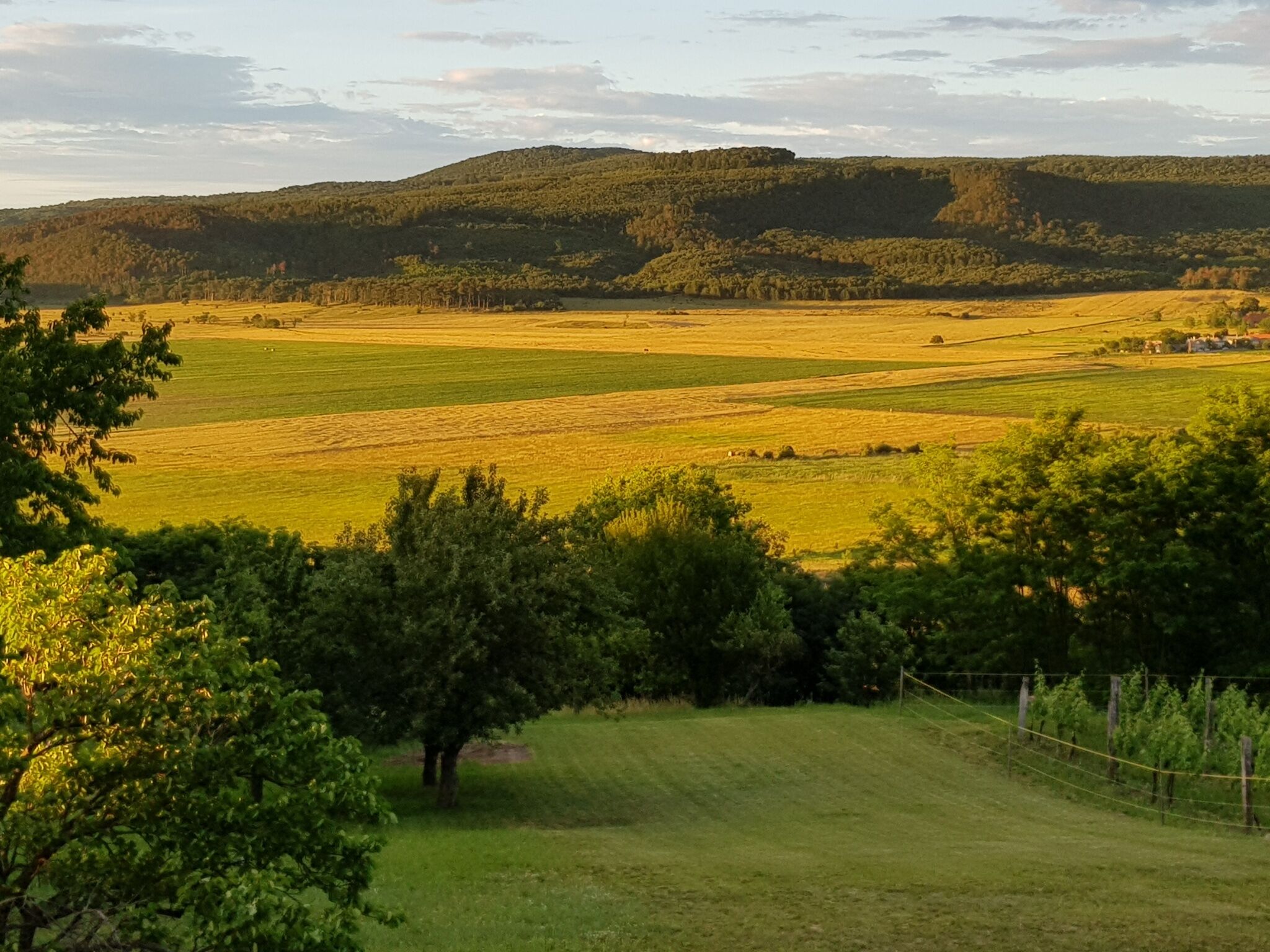 Sol Aquilonis Vendégház – Zalahaláp fotó 26