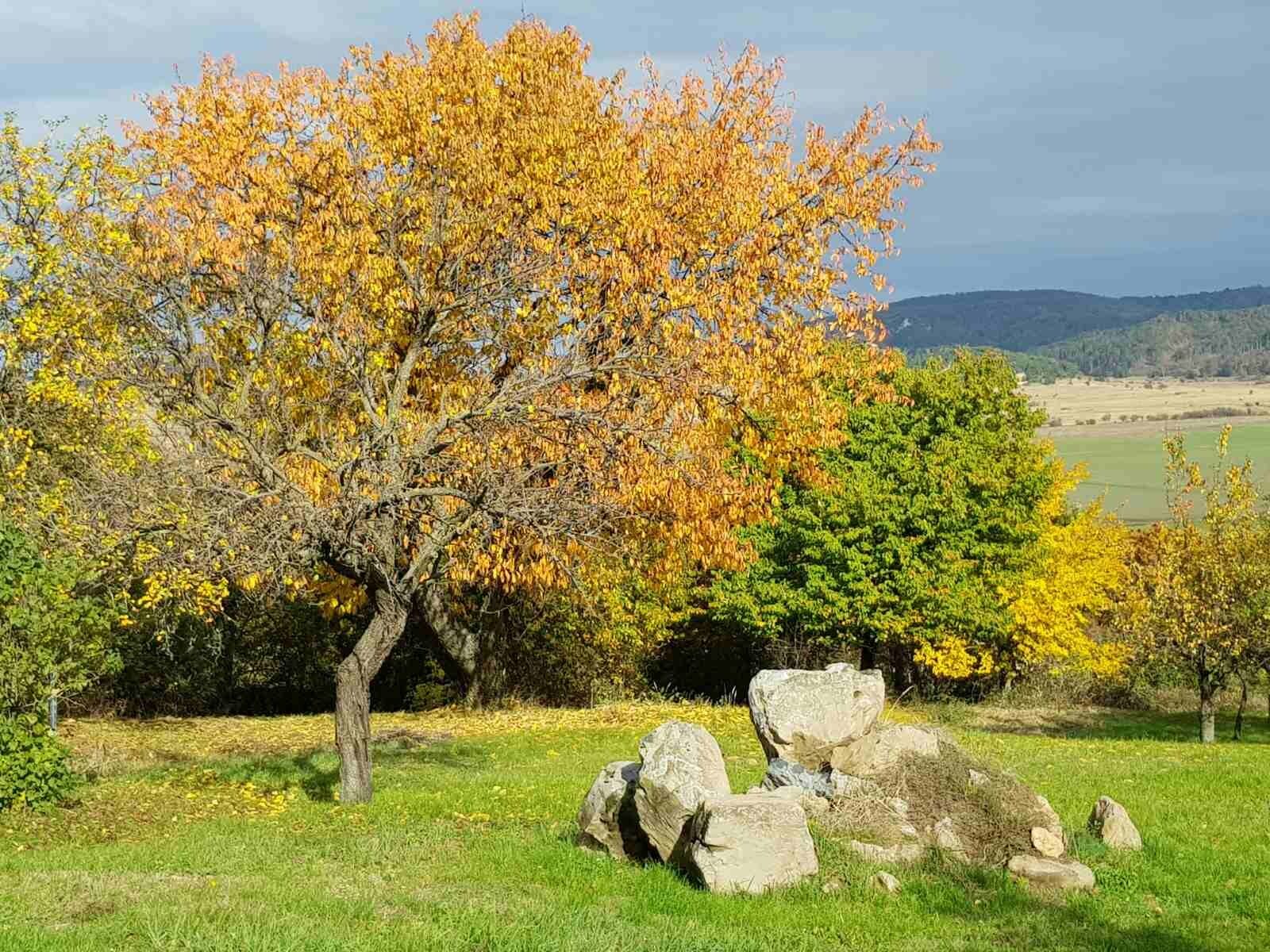 Sol Aquilonis Vendégház – Zalahaláp fotó 29