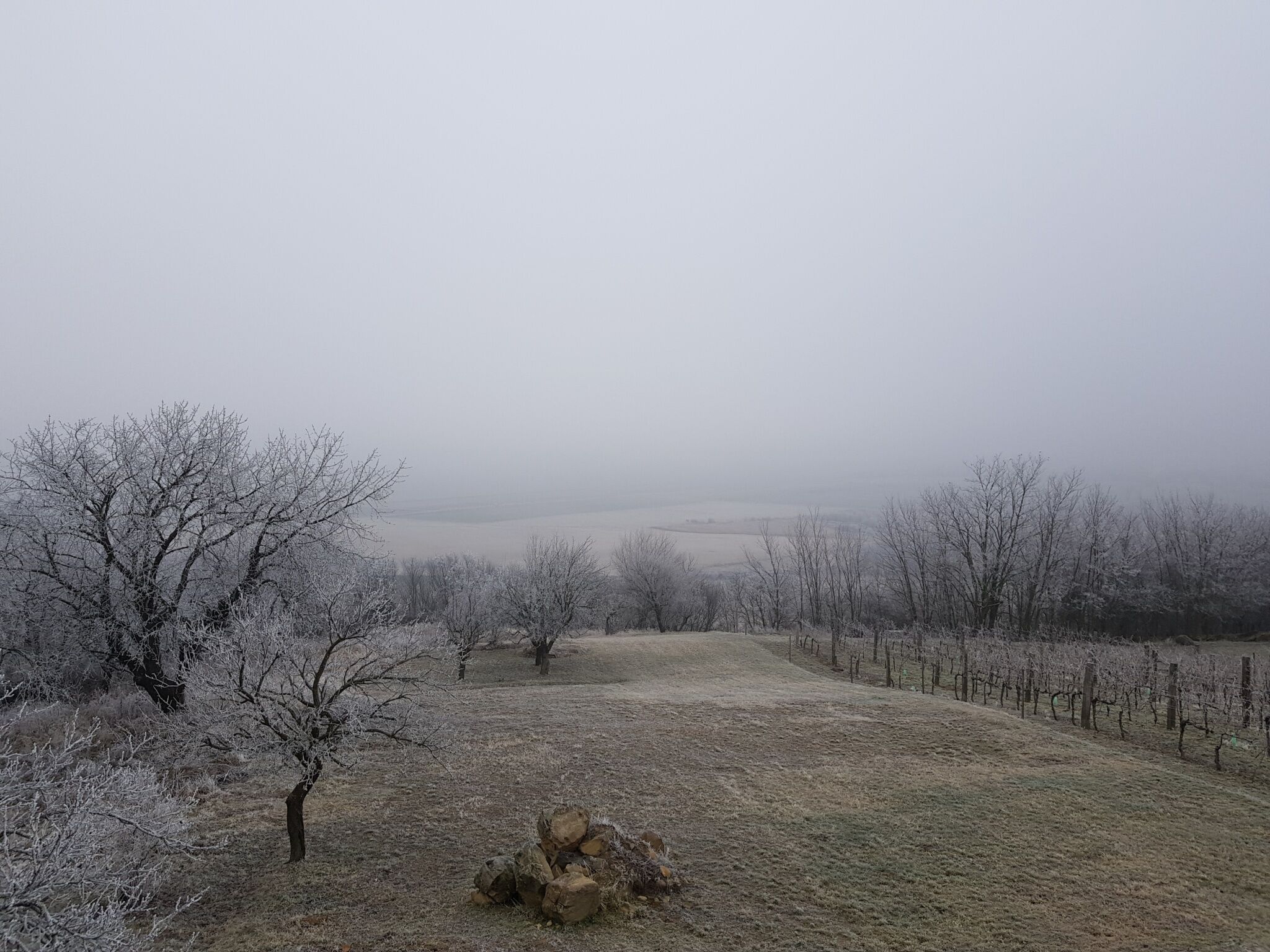 Sol Aquilonis Vendégház – Zalahaláp fotó 35