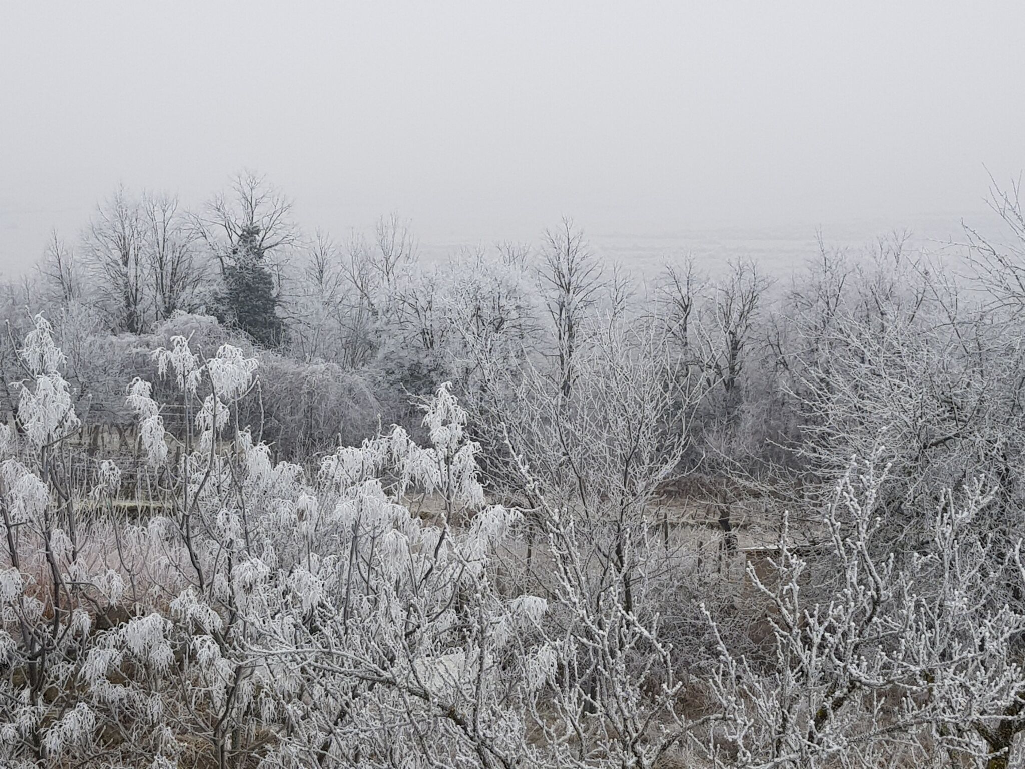 Sol Aquilonis Vendégház – Zalahaláp fotó 36