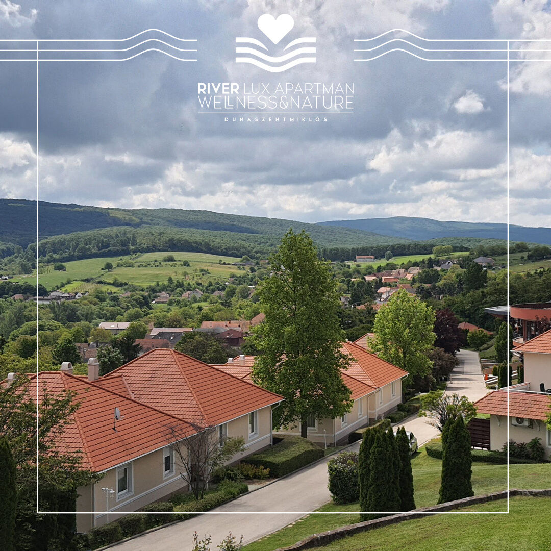 River Lux Apartman – Dunaszentmiklós fotó 23