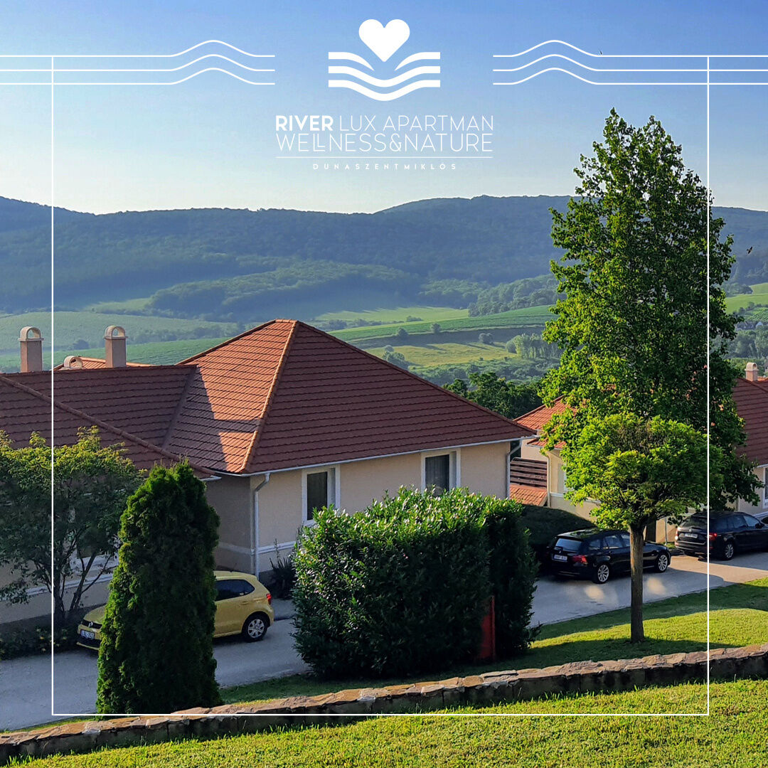 River Lux Apartman – Dunaszentmiklós fotó 12