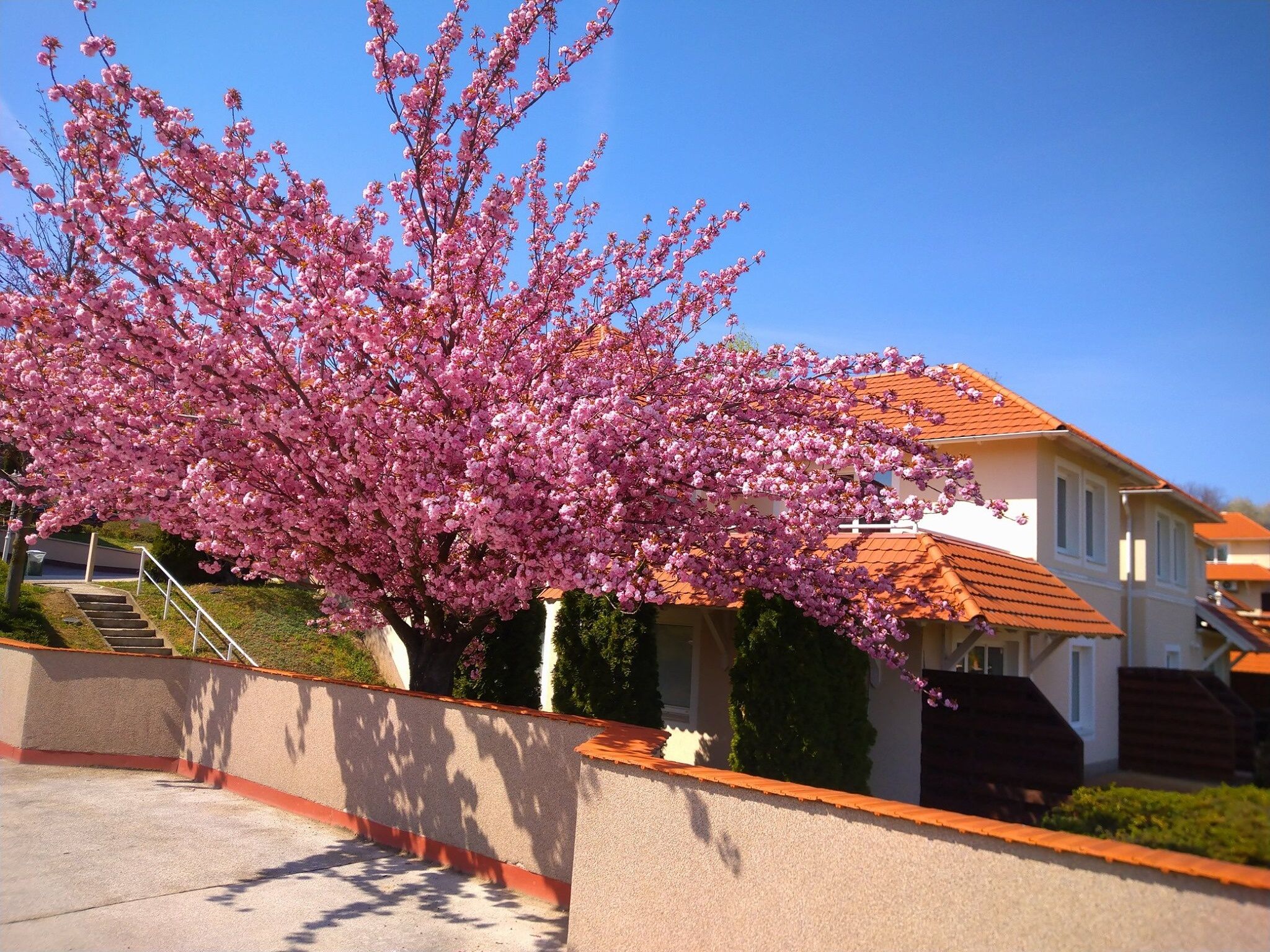 River Lux Apartman – Dunaszentmiklós fotó 18