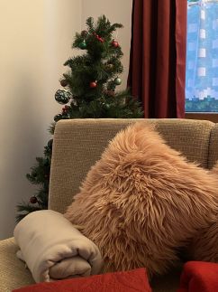 Patakparti Apartman36