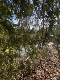 Patakparti Apartman51