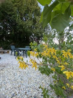 Patakparti Apartman59