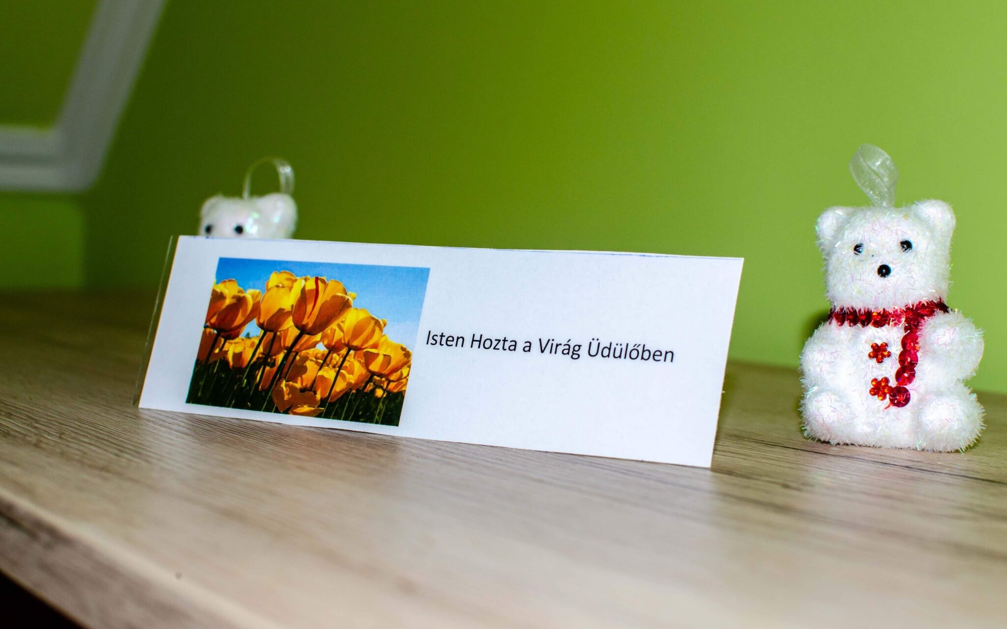 Virág üdülőház – Szarvas fotó 24