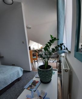 Kamilla Villapark Apartman22