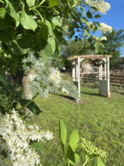 Csipke Porta Vendégház78