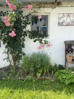 Csipke Porta Vendégház80