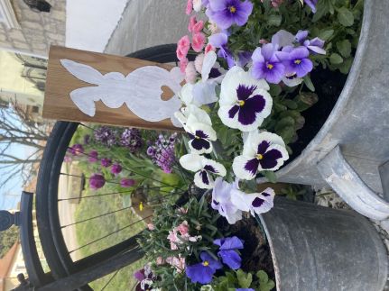 Csipke Porta Vendégház81