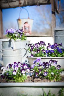 Csipke Porta Vendégház84