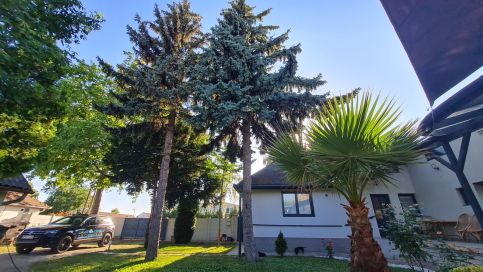 Tacskó Apartmanház84