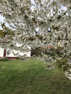 Bükk-Völgye Vendégház28