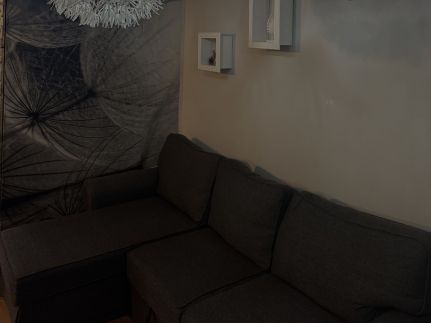 Borókahaus Apartman29