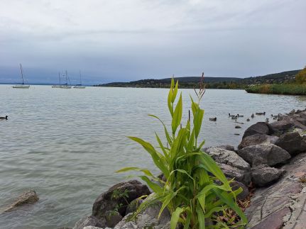 Kajak Kuckó Vendégház12