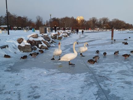 Kajak Kuckó Vendégház15