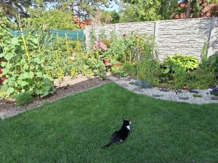 Kajak Kuckó Vendégház9