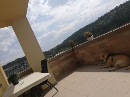 Chill Hill Apartman10