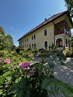 Park Villa Panzió És Konferenciaközpont Csopak