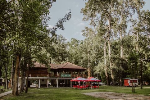 Forest Apartman3