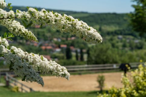 Panoráma Vendégház15