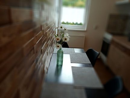 Sauna Relax Apartment1