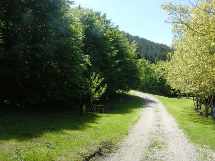 Gesztenyés Panzió Étterem18