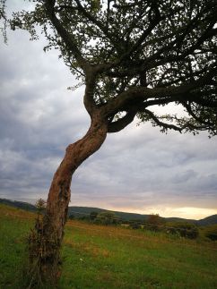 Szentkereszty Vendégház62