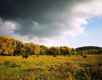 Szentkereszty Vendégház66