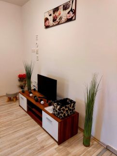 Betti Apartman31