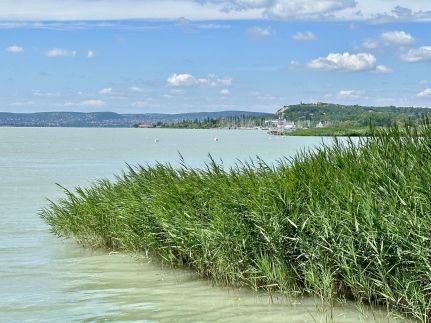 Sárga Villa Balatonkenese20